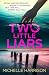 Two Little Liars by Michelle  Harrison