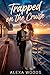 Trapped on the Cruise: A Forced Proximity, Enemies-to-Lovers Sapphic Romance (The Trapped Ice Queens Book 4)