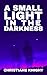A Small Light in the Darkness