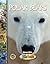 Polar Bears (Ranger Rick Zoobooks)