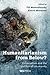 Humanitarianism from Below? by Till Mostowlansky