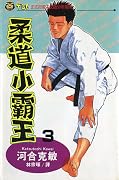 柔道小霸王 3