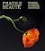 FRAGILE BEAUTÉ: PHOTOGRAPHIES DE LA COLLECTION DE SIR ELTON JOHN ET DAVID FURNISH