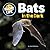 Bats in the Dark (Night Life)