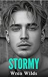 Book cover for Stormy: An M/M Romance