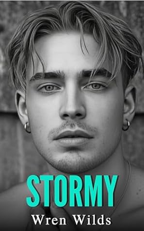 Stormy: An M/M Romance