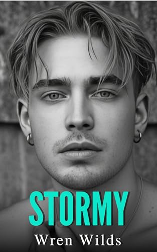 Stormy: An M/M Romance (Kindle Edition)