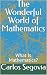 The Wonderful World of Math...