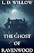 The Ghost of Ravenwood by L D Willow