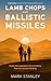 Lamb Chop & Ballistic Missiles: A True Story: One family’s five days inside the Iran-UAE war