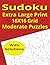 Sudoku Extra Large Print 16...