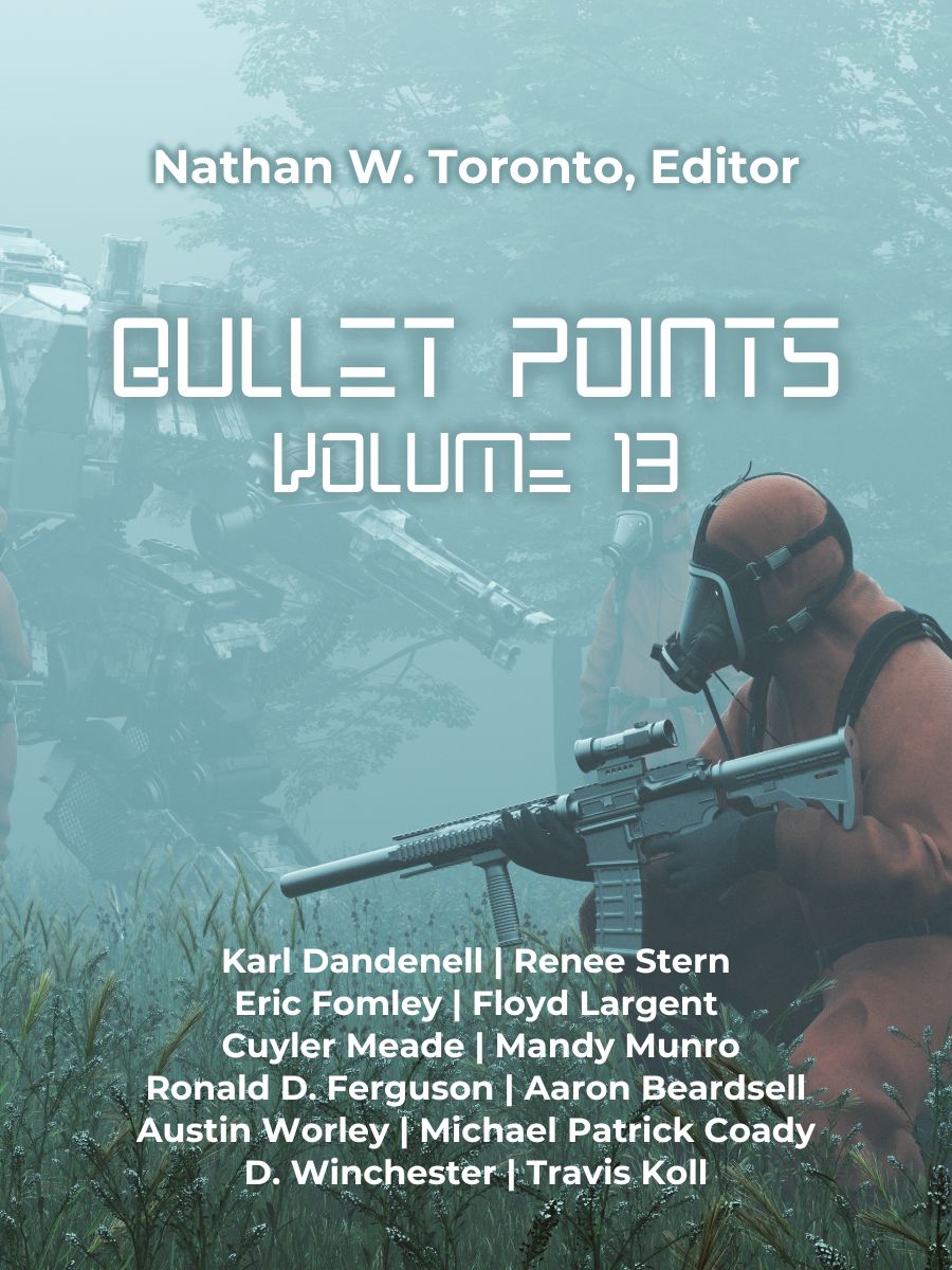Bullet Points 13