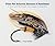 Flies For Atlantic Salmon & Steelhead by Trey Combs