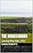 The Homecoming (Castlehaven Cove Book 4)