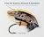 Flies For Atlantic Salmon & Steelhead by Trey Combs