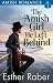 The Amish Girl He Left Behi...