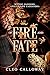 Of Fire and Fate: A Steamy ...