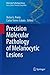 Precision Molecular Pathology of Melanocytic Lesions (Molecular Pathology Library)