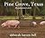 Pine Grove, Texas Population 5,832 by deborah larson bell