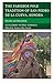 The Fariseos Folk Tradition of San Pedro de la Cueva, Sonora: Morality and Masculinity (Studies in Folklore and Ethnology: Traditions, Practices, and Identities)