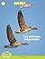 Défis Nature - Les animaux migrateurs