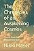 The Chronicles of an Awaken...