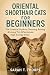 Oriental Shorthair Cats for...