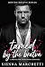 Tamed By The Bratva (Boston...