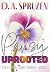 Pansy Uprooted