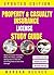 PROPERTY & CASUALTY INSURAN...