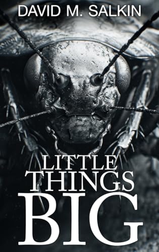 Little Things Big (Kindle Edition)