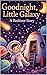 Goodnight, Little Galaxy: A...