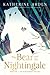 The Bear and the Nightingale (Winternight Trilogy, #1)