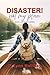 Disaster! Not My Plan! by P. Lynne Halliday