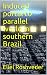 Induced portal to parallel world in southern Brazil by Eliel Roshveder Induced portal to parallel world in southern Brazil by Eliel Roshveder