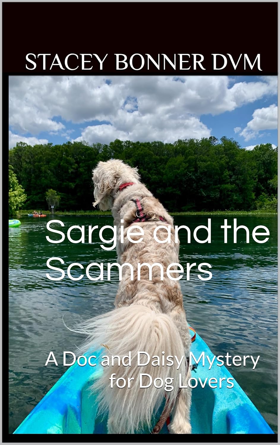 Sargie and the Scammers