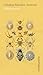 Vida insecta (Spanish Edition)