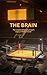 The Brain by Bugs Ben