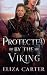 Protected by the Viking