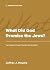 What Did God Promise the Jews? by Jeffrey J Meyers