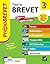 Prépabrevet - Tout le brevet 2027 - 3e (toutes les matières): tout-en-un pour réussir sa 3e et son brevet