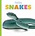 Baby Snakes (Starting Out: Baby Animals)