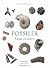 Fossiler langs stranden by Jesper Milàn Fossiler langs stranden by Jesper Milàn