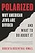 Polarized: Why American Jew...