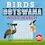Birds of Botswana Word Search | Field Notes |AMARI'S WORD SAF... by Marga Davis Birds of Botswana Word Search | Field Notes |AMARI'S WORD SAF... by Marga Davis