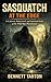 Sasquatch at the edge: A Cultural, Behavioral, and Spiritual Study of the Wild Man Phenomenon (At the Edge Series Book 2)
