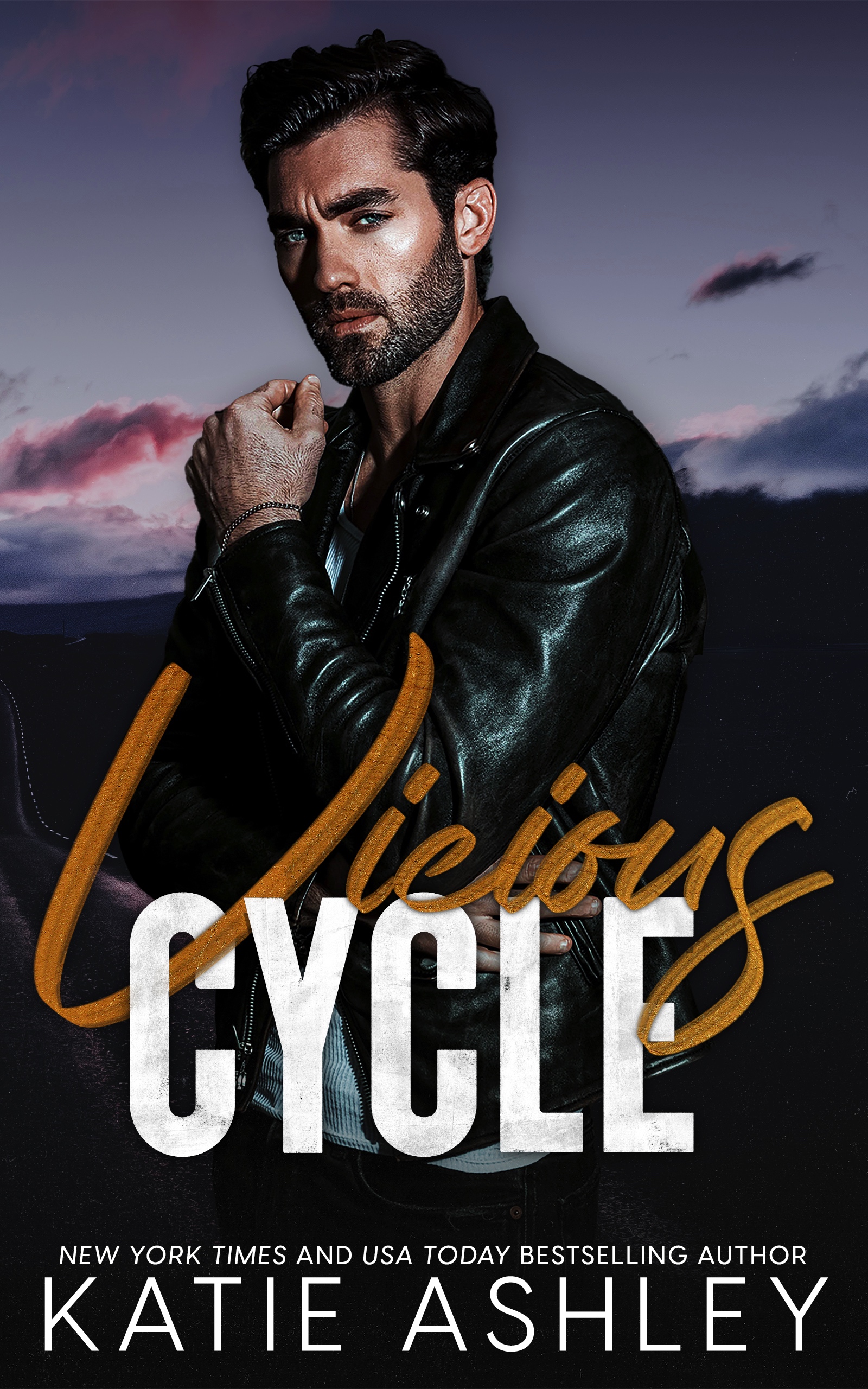 Vicious Cycle (Vicious Cycle, #1)