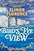 Bird's Eye View: A Novel