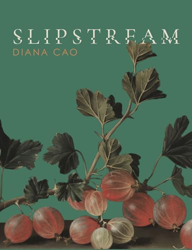Slipstream (Paperback)