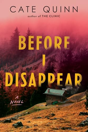 Before I Disappear (Paperback)